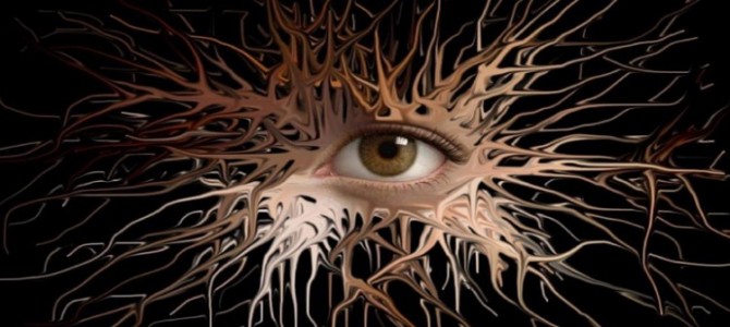 Difference in Empath, Intuitive, Psychic, Medium and Healer