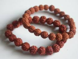 Rudraksha seeds