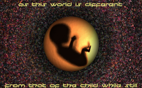 The World Beyond