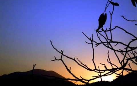 Abraham Hicks ~ Things you must do everyday
