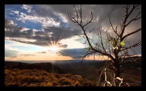 Azam Ali & Loga Torkian – Flowers of the Storm