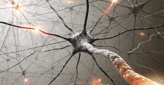 Train Your Brain To Let Go Of Habits – 10 Methods For Creating New Neural Pathways