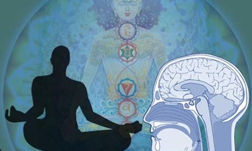 Harvard Study Unveils What Meditation Literally Does To The Brain