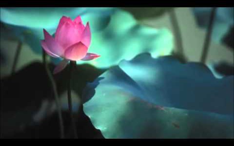 deepak chopra – magical mind magical body