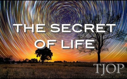 The Secret of Life – Alan Watts