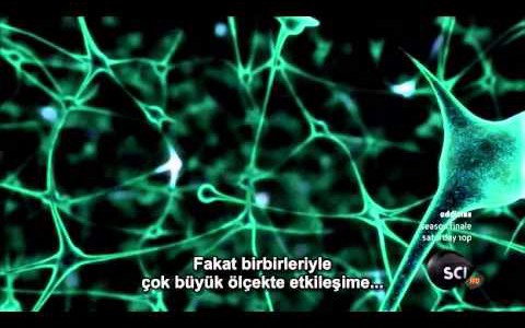 Morgan Freeman ile Solucan Deliğinden | Sezon 2, Bölüm 1: Ölümden Sonra Hayat Var Mı?