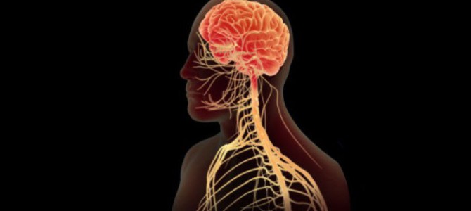 How to Control Inflammation with Your Brain