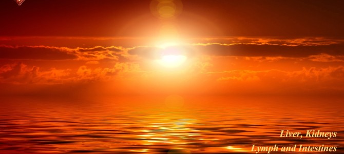 Detox Frequency Healing – Organ Cleanse and Detox
