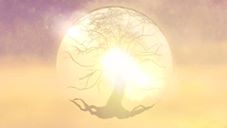 What is Consciousness? What is Consciousness?